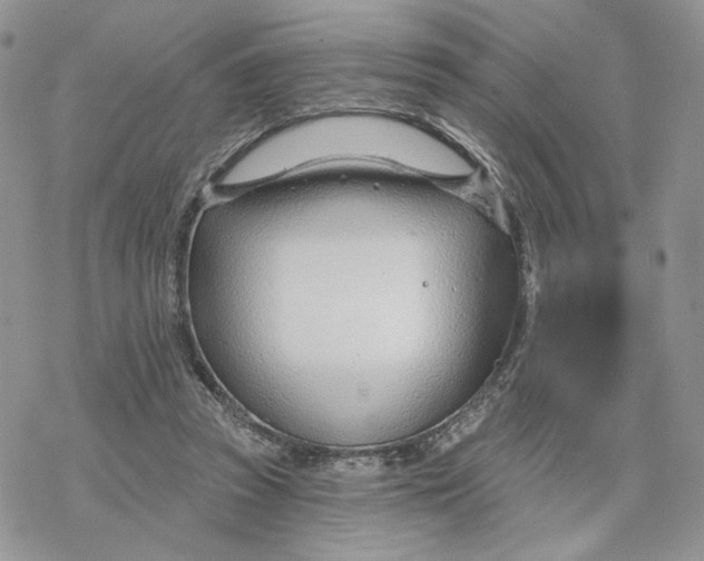 X0000078270353200611251359