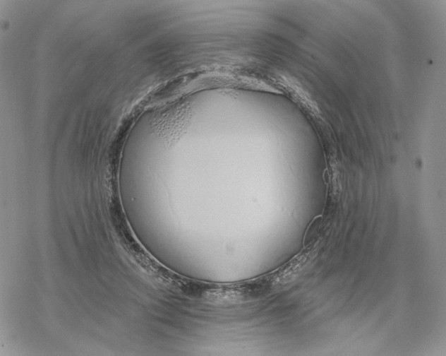 X0000078270354200611251359