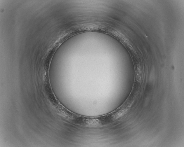 X0000078270355200611251359