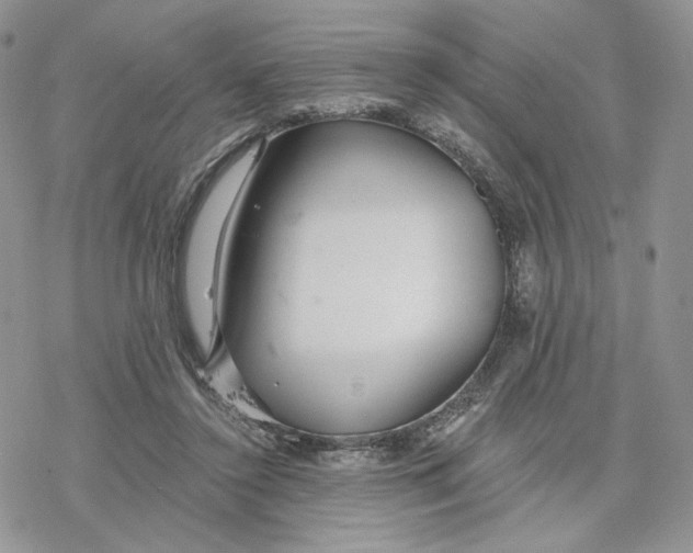 X0000078270356200611251359