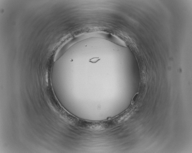 X0000078270358200611251359