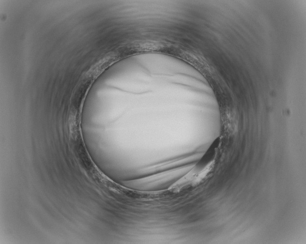 X0000078270360200611251359