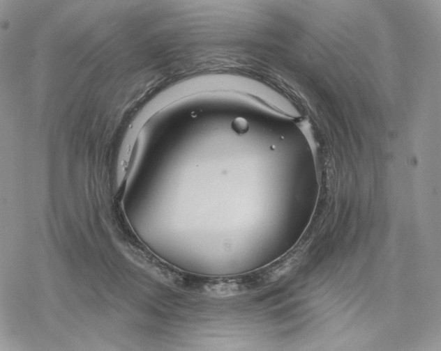 X0000078270362200611251359