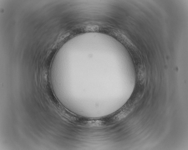 X0000078270363200611251359