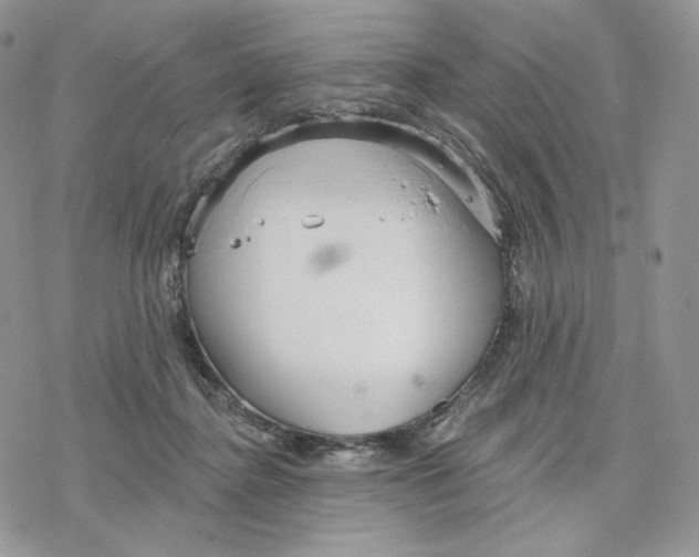 X0000078270364200611251359