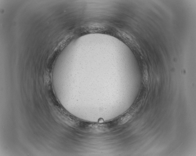 X0000078270367200611251359