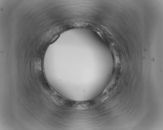 X0000078270368200611251359