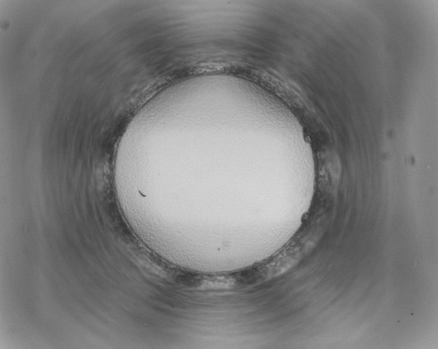 X0000078270369200611251359