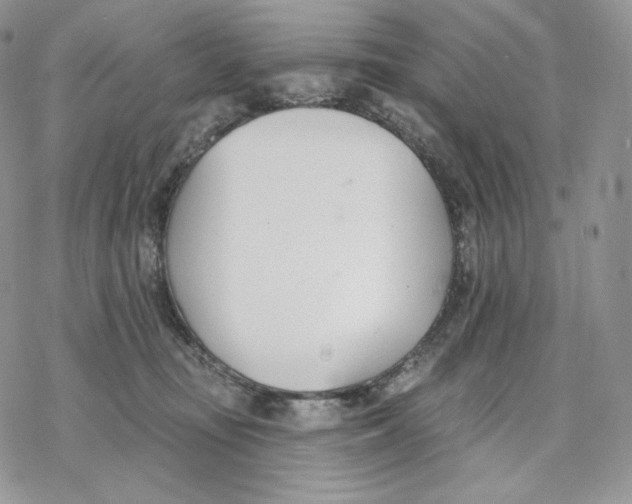 X0000078270371200611251359