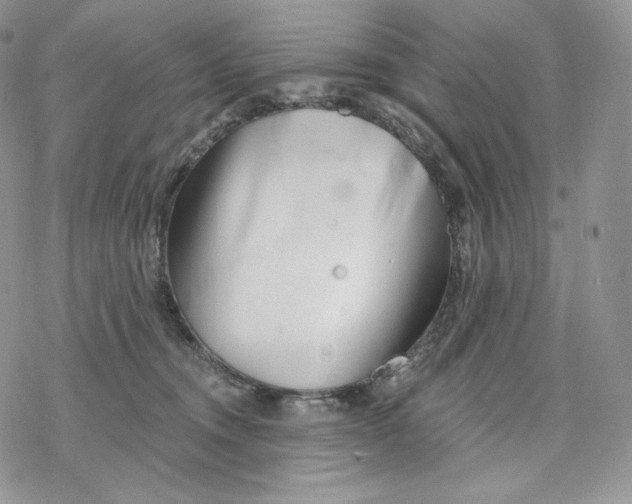 X0000078270372200611251359