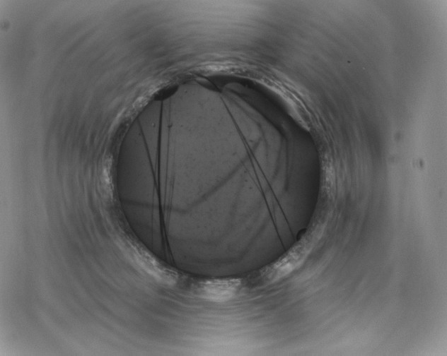 X0000078270373200611251359