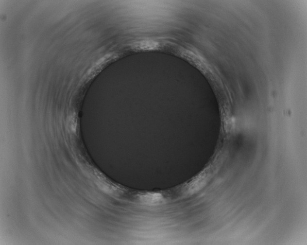 X0000078270374200611251359