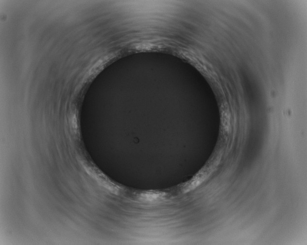 X0000078270375200611251359