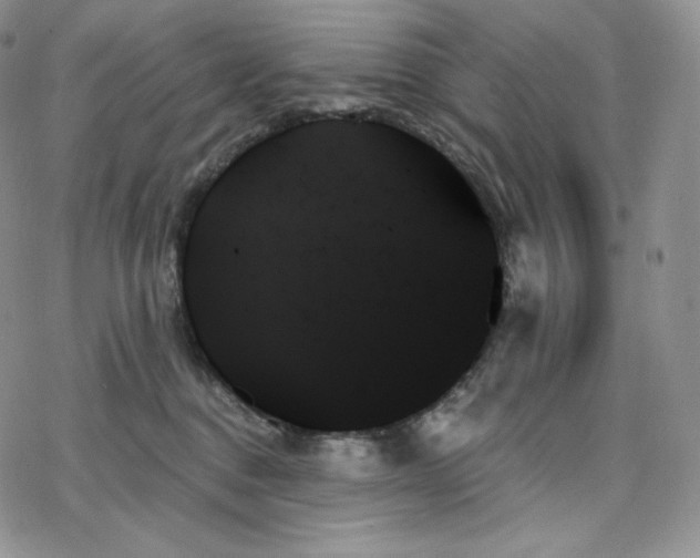 X0000078270376200611251359