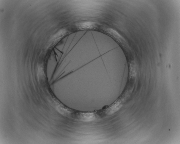 X0000078270377200611251359