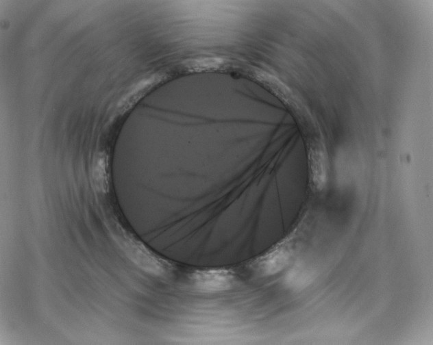 X0000078270378200611251359