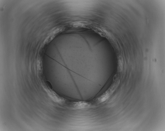 X0000078270379200611251359