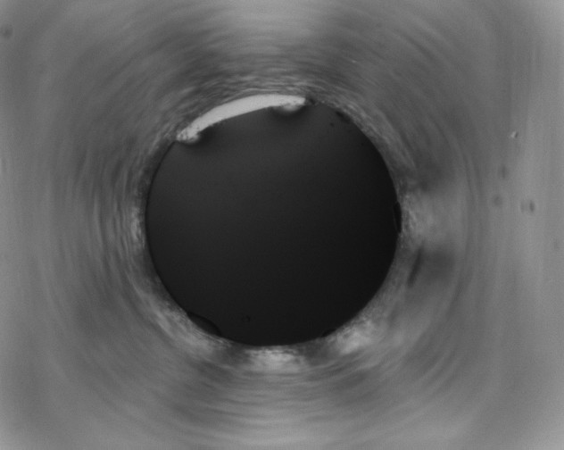 X0000078270380200611251359