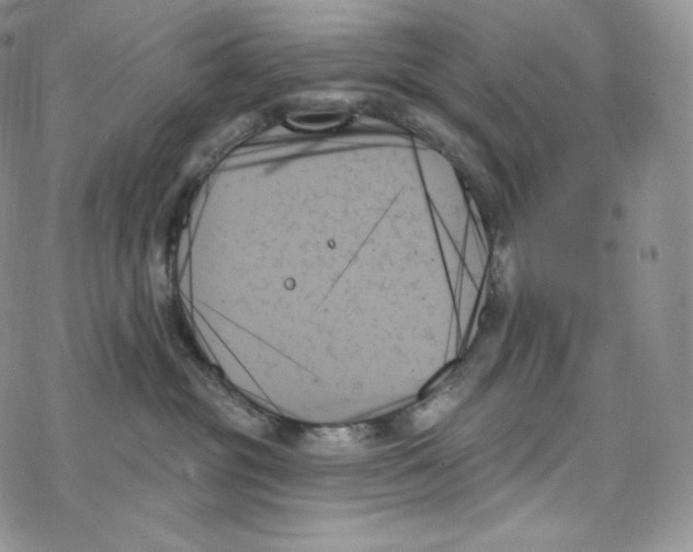 X0000078270381200611251359