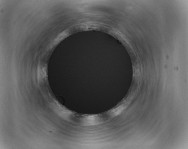 X0000078270382200611251359