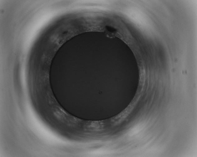 X0000078270383200611251359