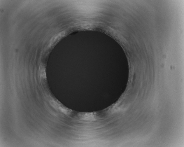 X0000078270384200611251359