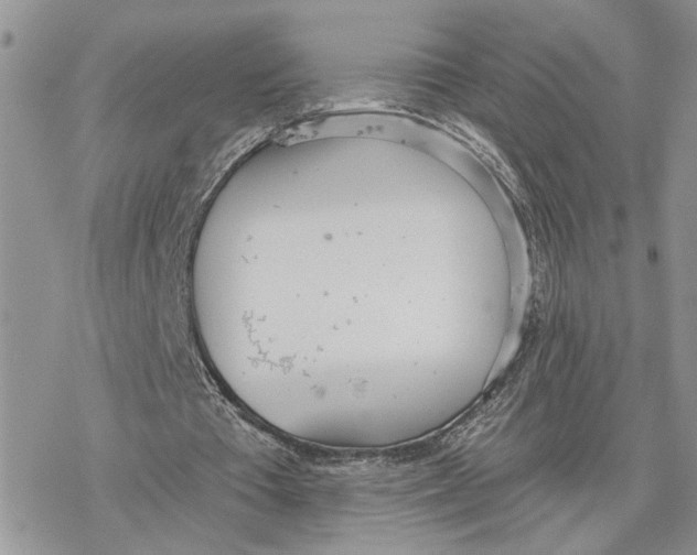 X0000078270385200611251359