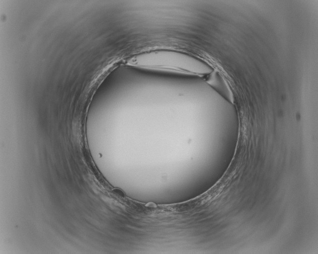 X0000078270386200611251359