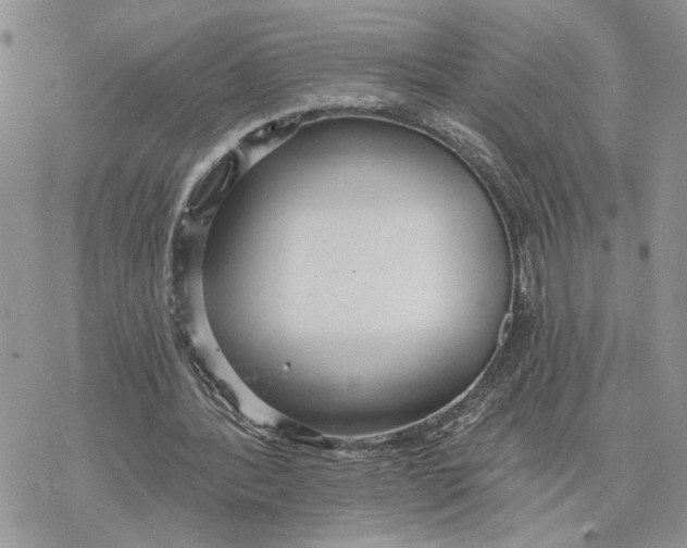 X0000078270388200611251358