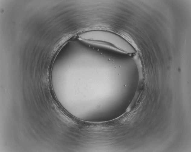 X0000078270389200611251358