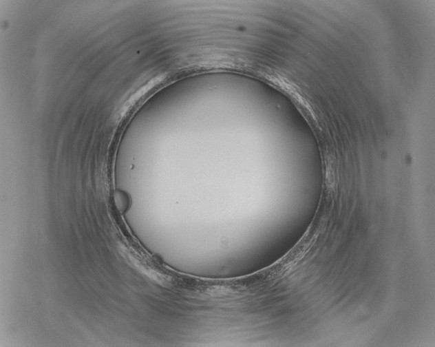 X0000078270390200611251358