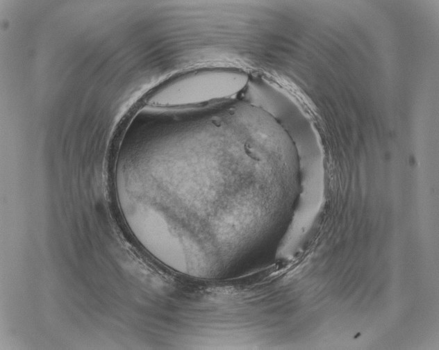 X0000078270391200611251358