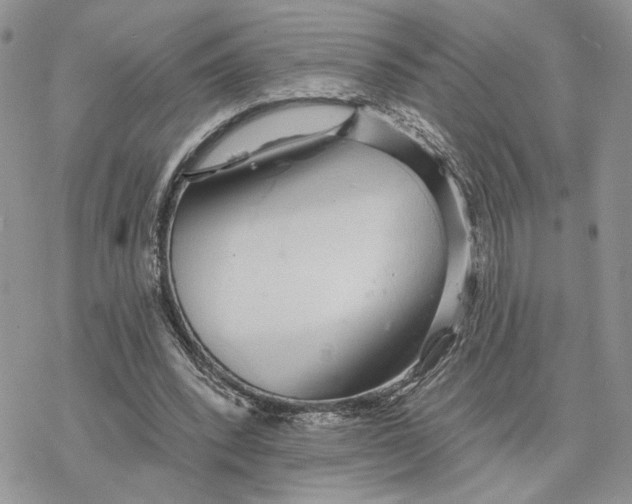 X0000078270392200611251358