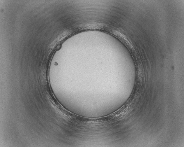 X0000078270394200611251358