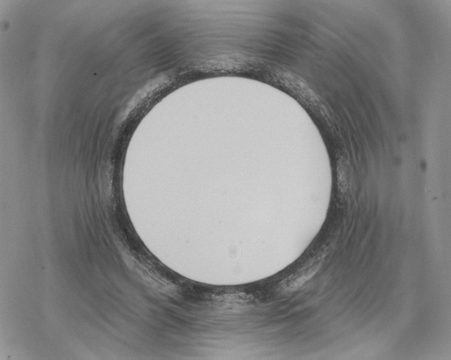 X0000078270396200611251358