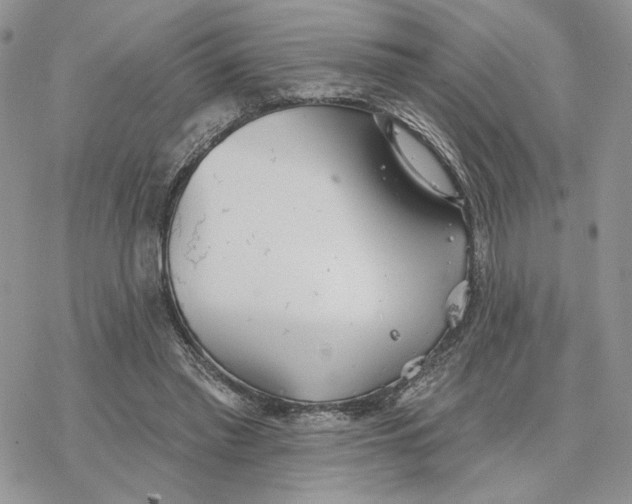 X0000078270397200611251358