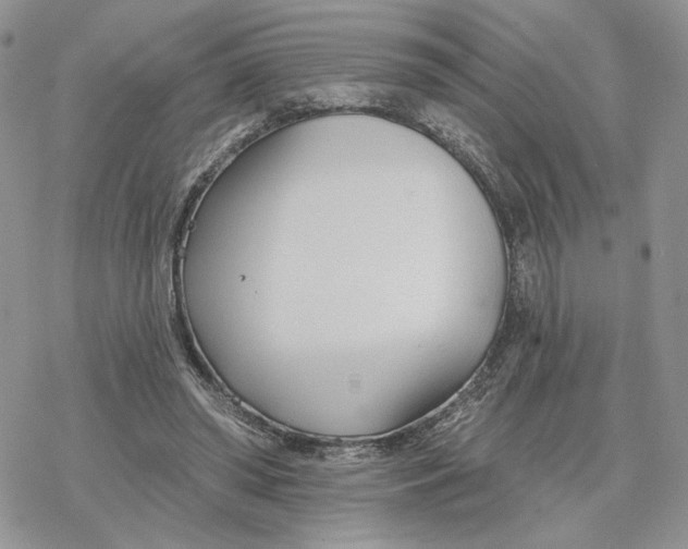 X0000078270398200611251358