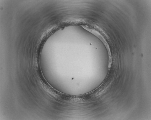 X0000078270399200611251358