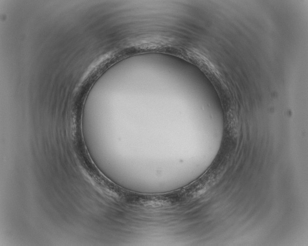 X0000078270400200611251358