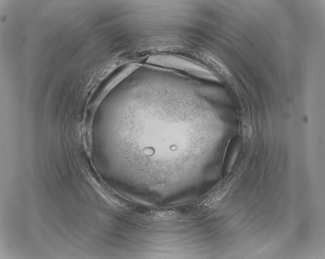 X0000078270401200611251358