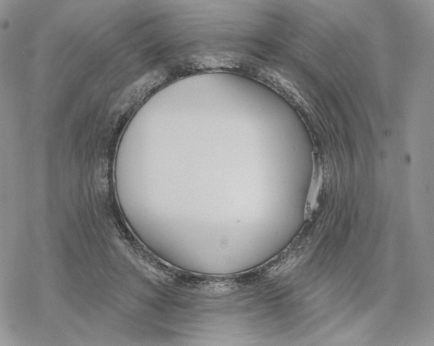 X0000078270402200611251358