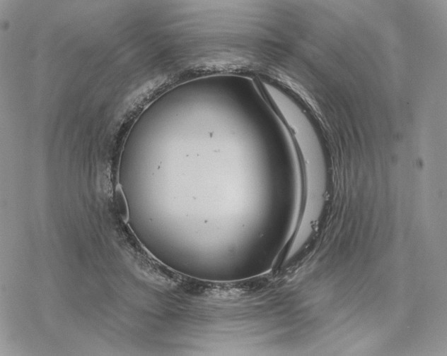 X0000078270403200611251358