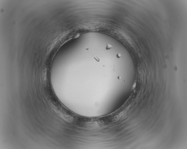 X0000078270404200611251358