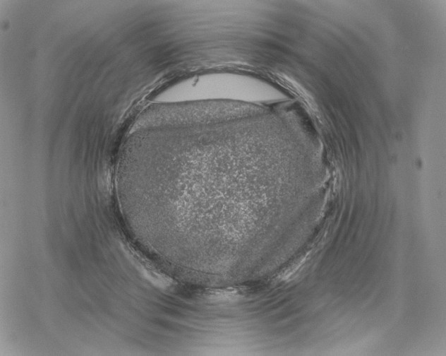 X0000078270405200611251358