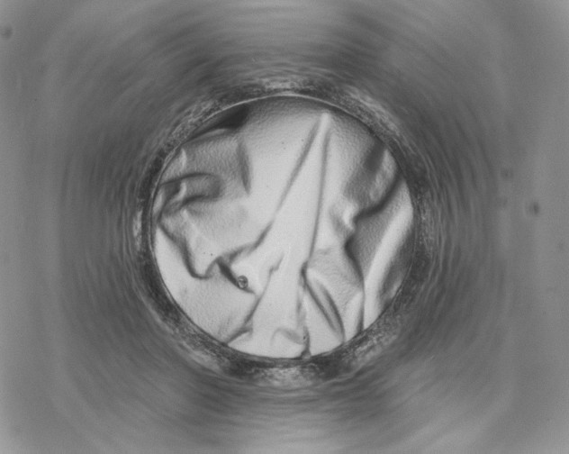 X0000078270406200611251358