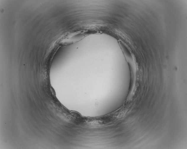 X0000078270407200611251358