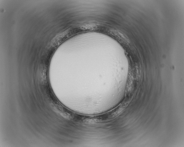 X0000078270408200611251358