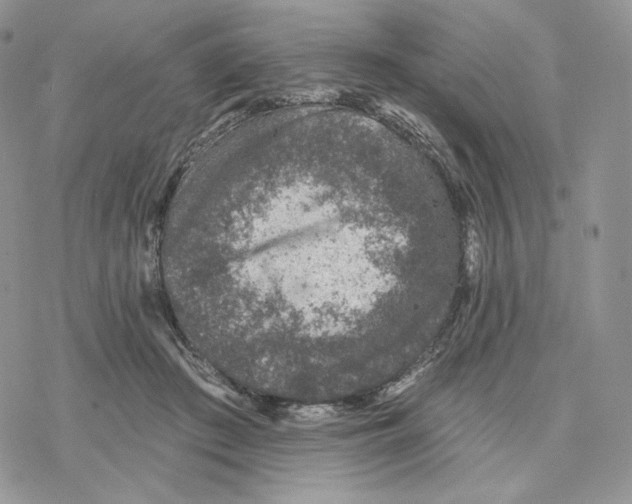 X0000078270409200611251358