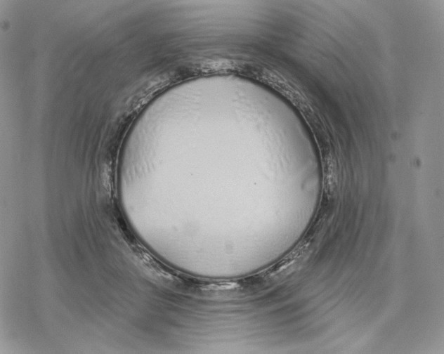 X0000078270410200611251358