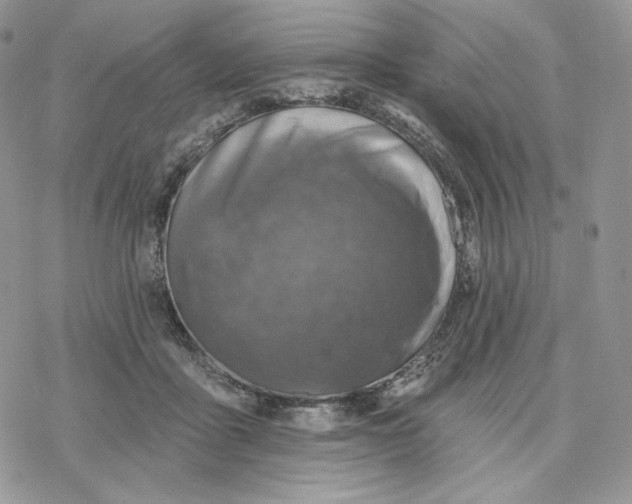 X0000078270411200611251358